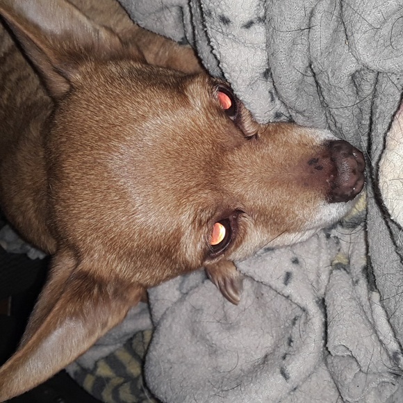 Meet your Posher, Hollaaaaa Hollaaaaa🤙🤙 I'm Tampa - Picture 9 of 16